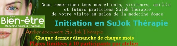 Stylo d'Acupuncture SuJok en acier inoxydable, outil de massage